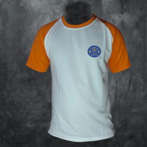 Rajasthan Royals Logo Printed T-Shirt Orange Sleeve Small Logo